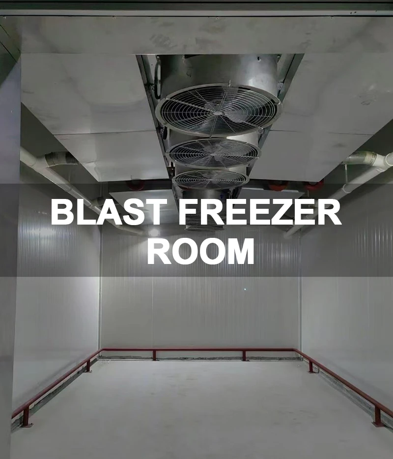 4.Blast Freezer Room 4.Blast Freezer Room