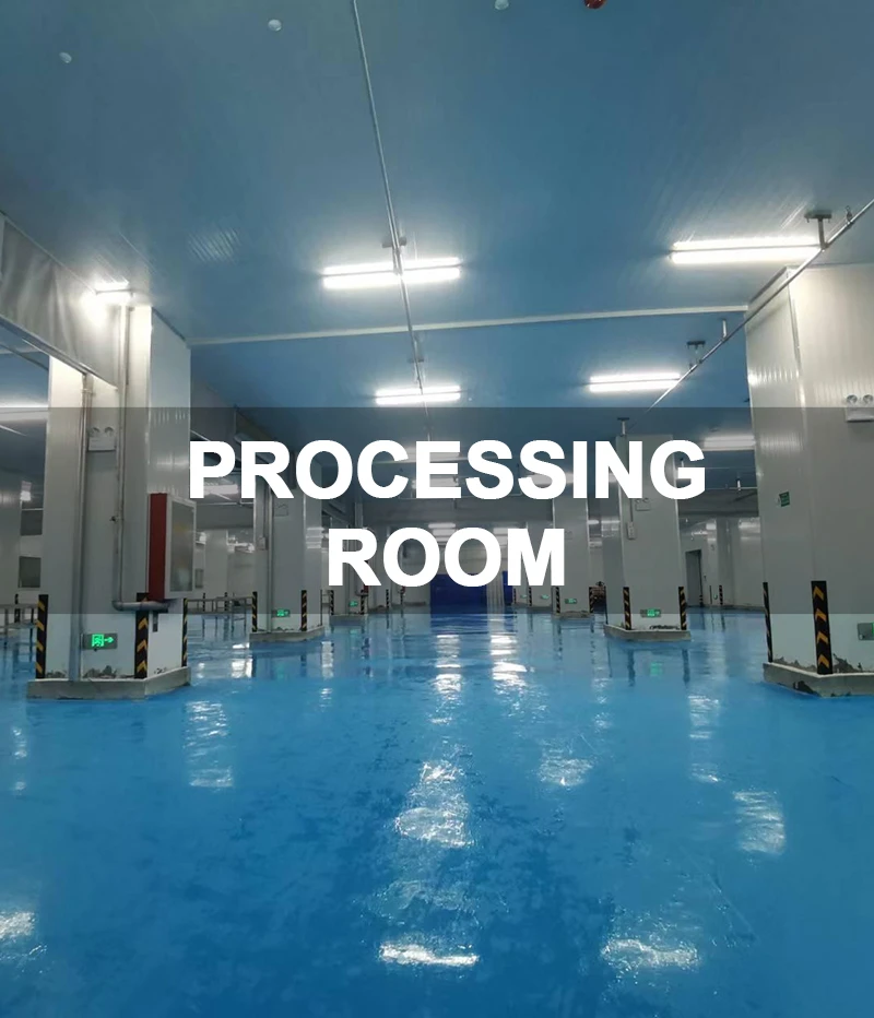 1.Processing Room 1.Processing Room
