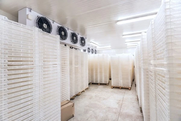 Air Cooler