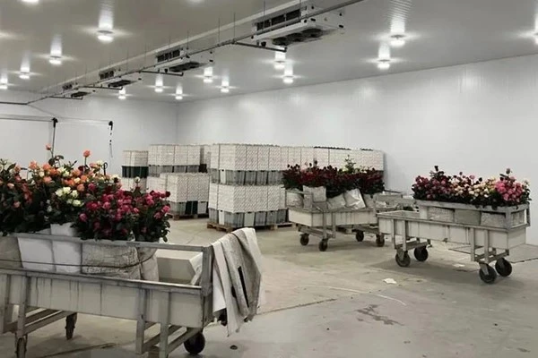 Chiller Cold Room