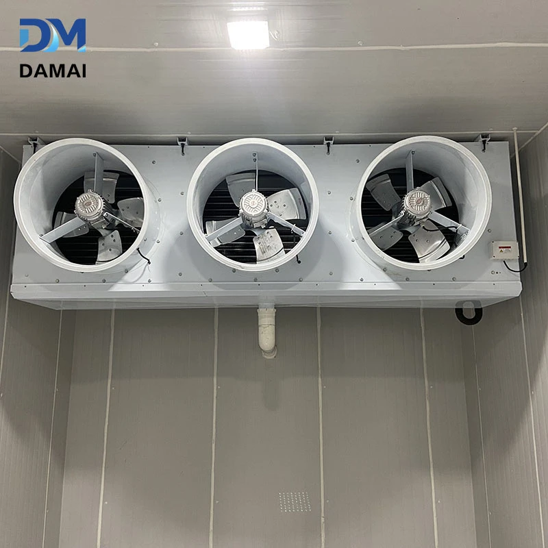 product-800-800
