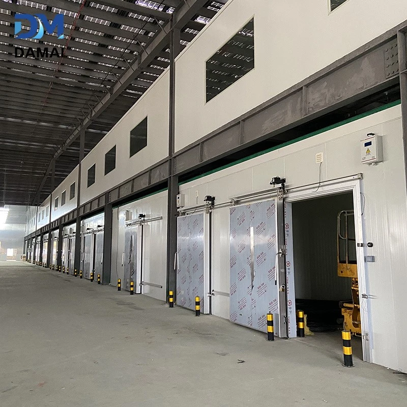 product-800-800